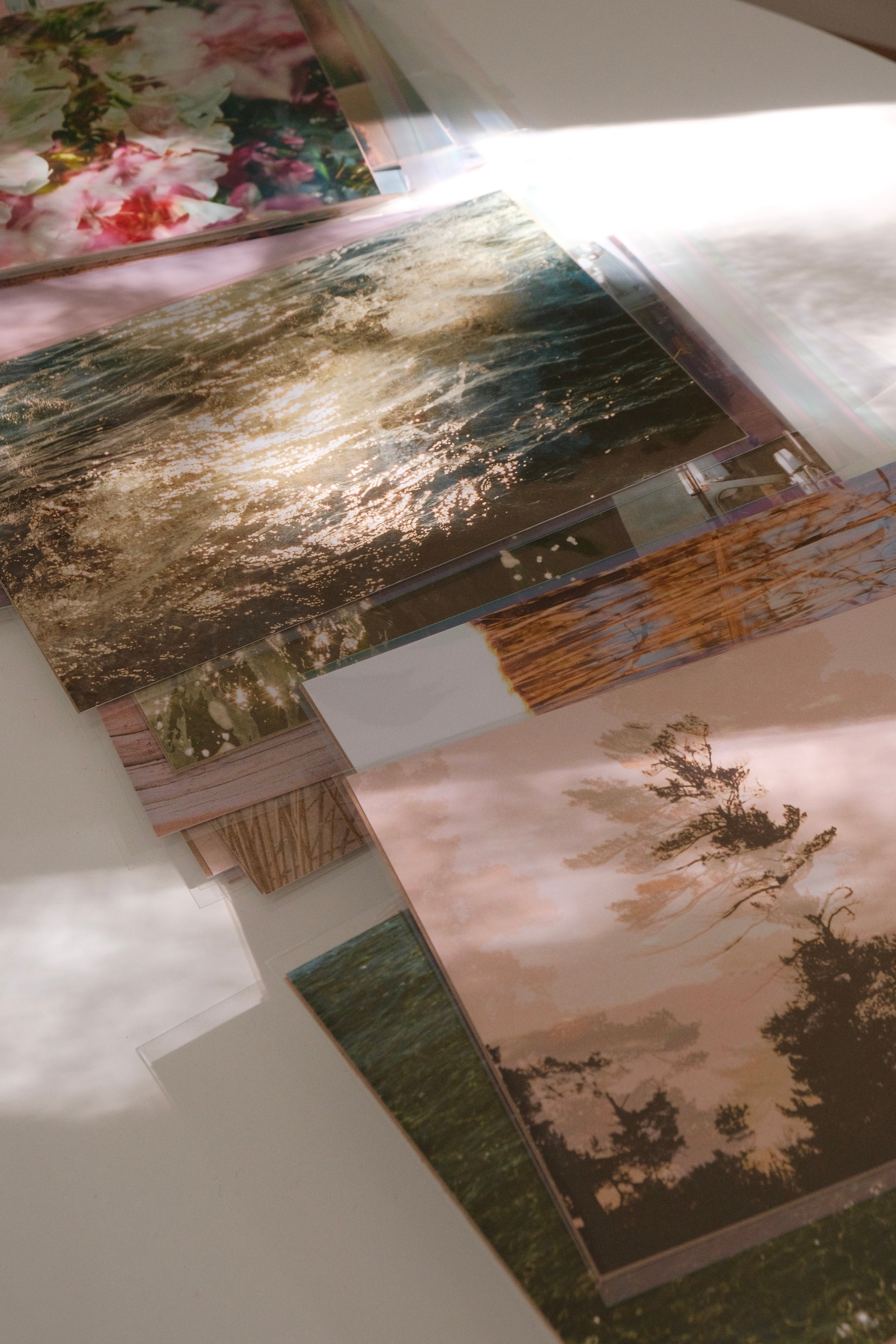 Film Photography Prints