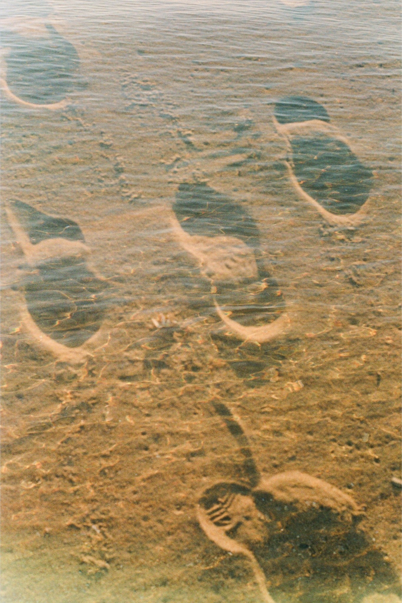 Wander Water Print