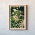 Backyard Beauty Print
