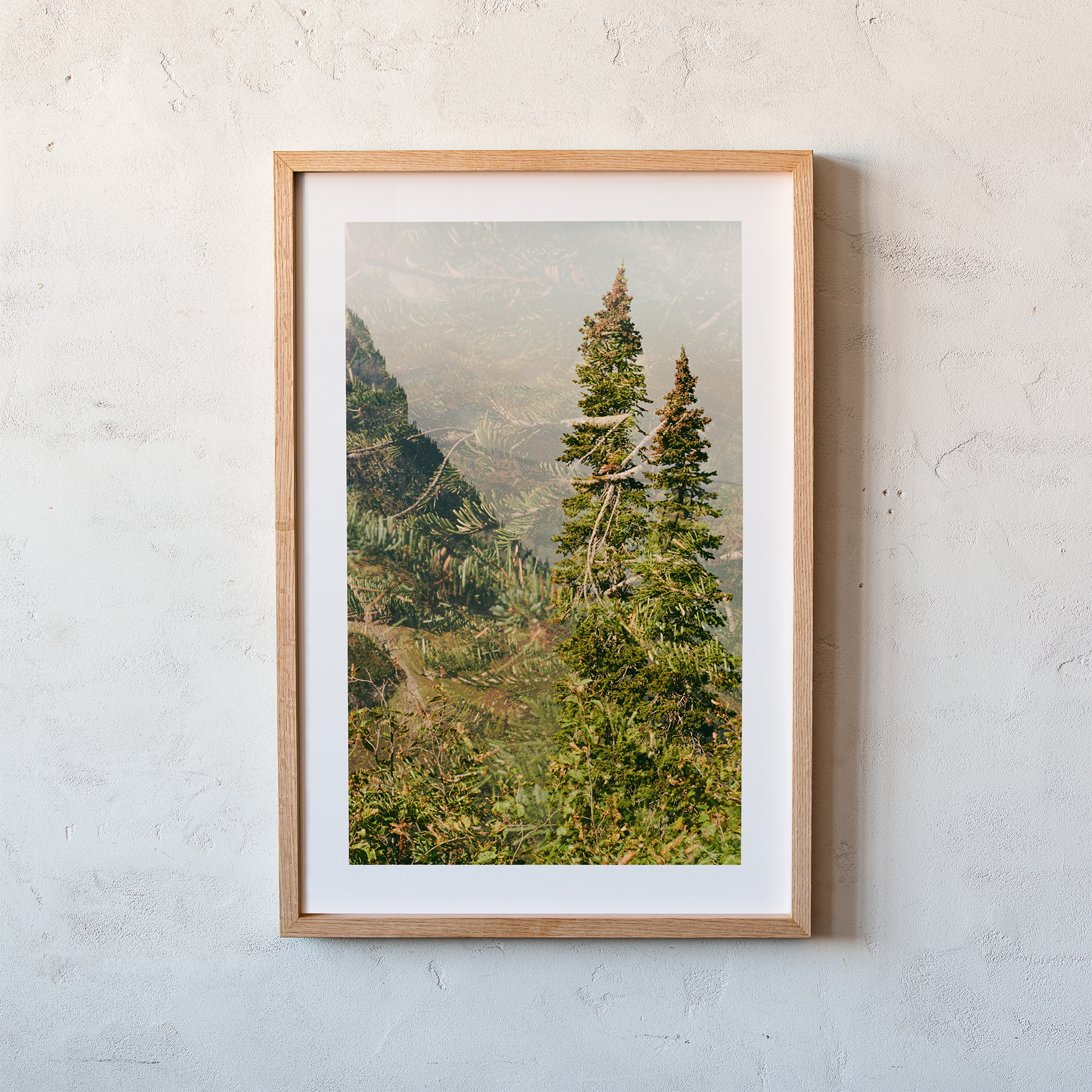 Sister Trees Print